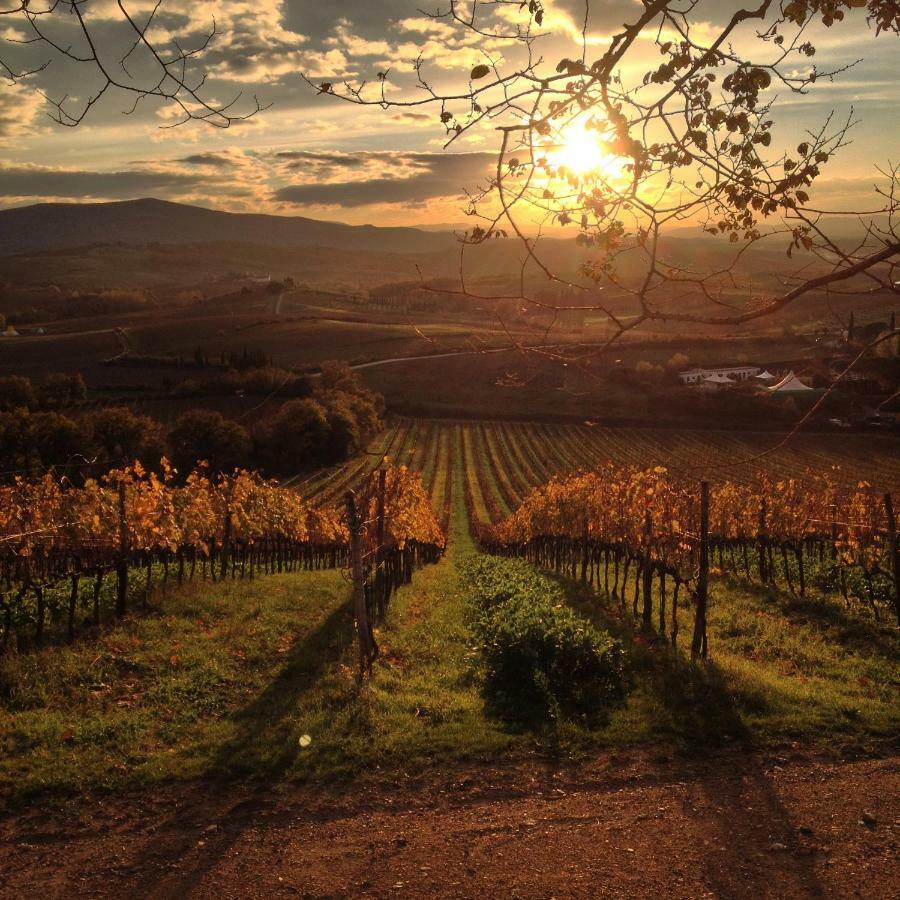 Residenza Cornino Διαμέρισμα Castellina in Chianti Εξωτερικό φωτογραφία